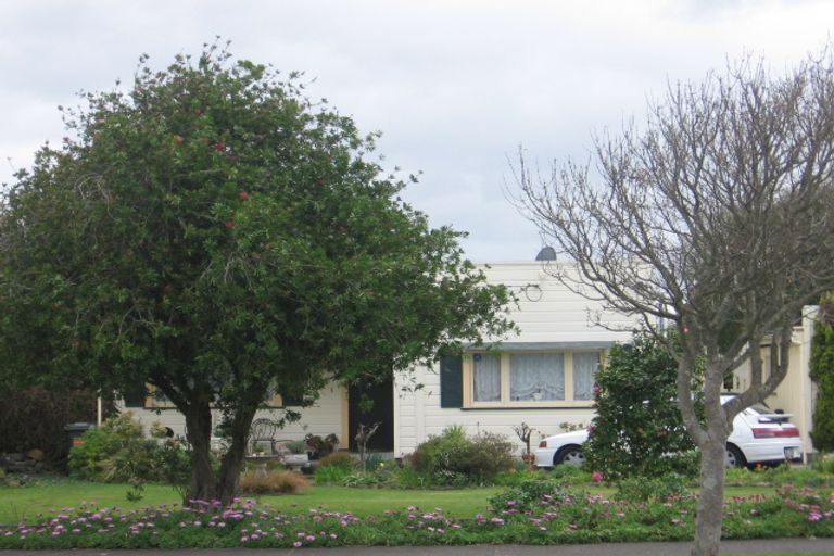Photo of property in 12 Saxton Street, Levin, 5510