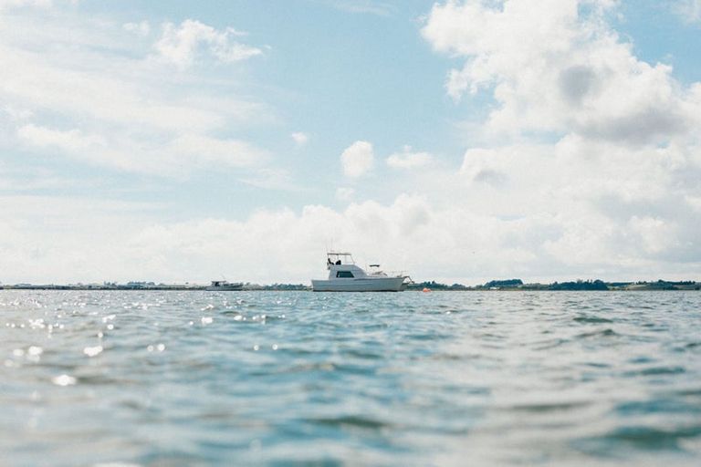 Photo of property in 1210 Cameron Road, Gate Pa, Tauranga, 3112