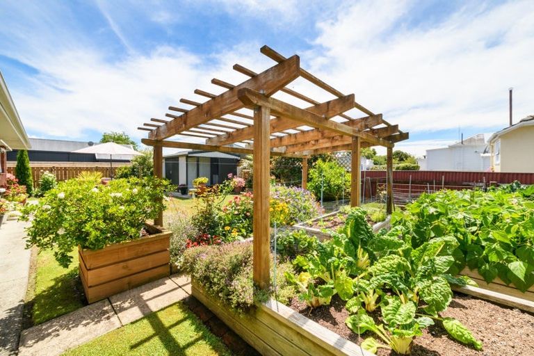 Photo of property in 41 Derby Street, Feilding, 4702