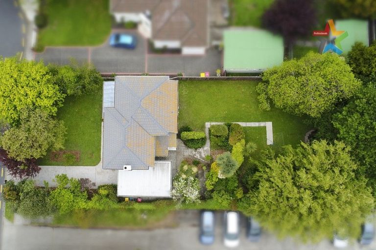 Photo of property in 28 Marina Grove, Hutt Central, Lower Hutt, 5010