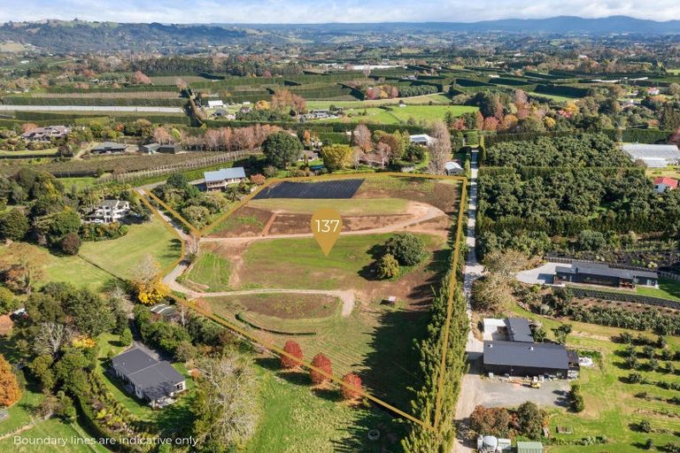 Photo of property in 137 Lochhead Road, Te Puna, Tauranga, 3176