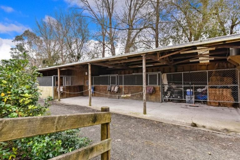 Photo of property in 1153 Dairy Flat Highway, Dairy Flat, 0794