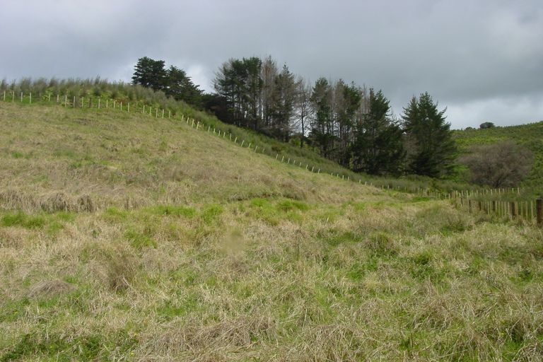 Photo of property in 521 Ahuroa Road, Puhoi, Warkworth, 0994