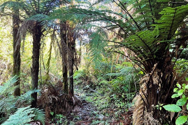 Photo of property in 754 Rutherglen Road, Marsden, Greymouth, 7872