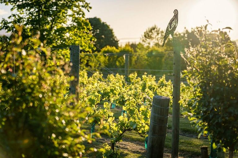 Photo of property in 4 Ellen Johnson Terrace, Lake Hayes, Queenstown, 9371