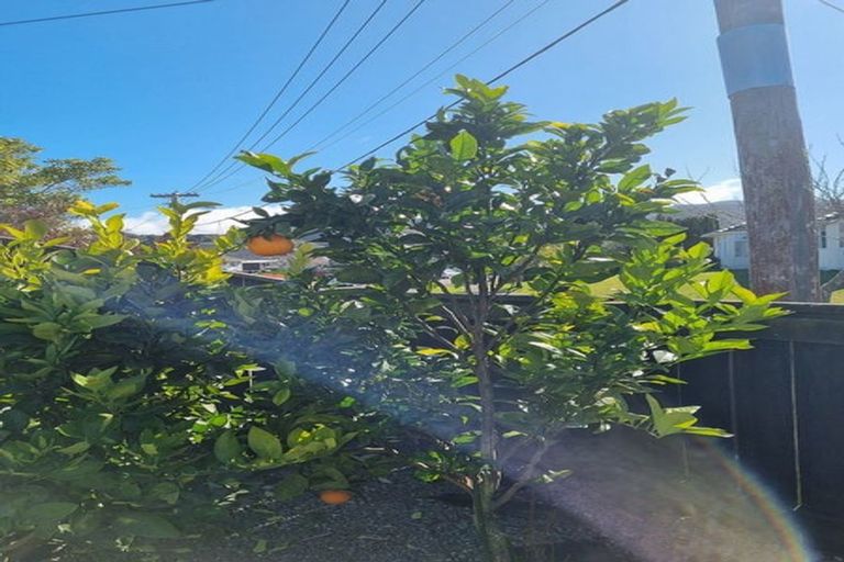 Photo of property in 1/56 Mary Crescent, Elderslea, Upper Hutt, 5018