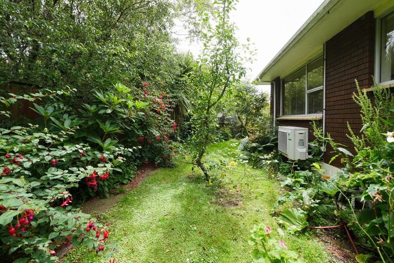 Photo of property in 68b Ascot Street, Saint Kilda, Dunedin, 9012