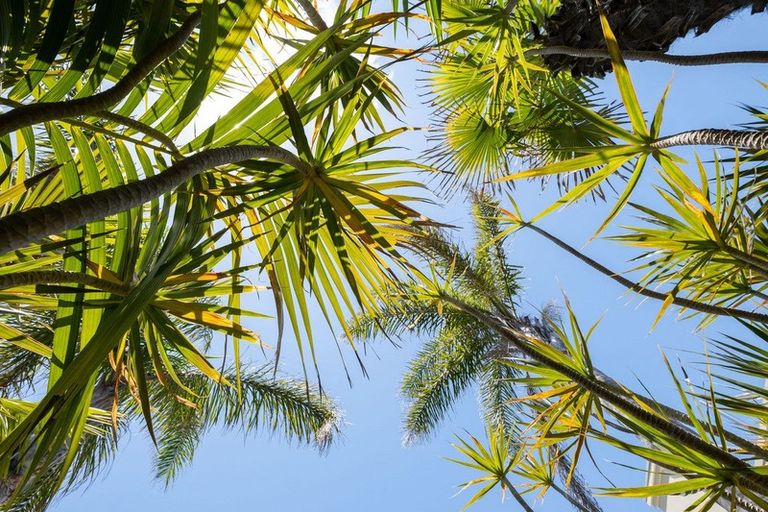 Photo of property in 87b Muricata Avenue, Mount Maunganui, 3116