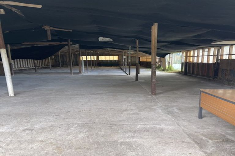 Photo of property in 386 Henderson Valley Road, Henderson Valley, Auckland, 0612