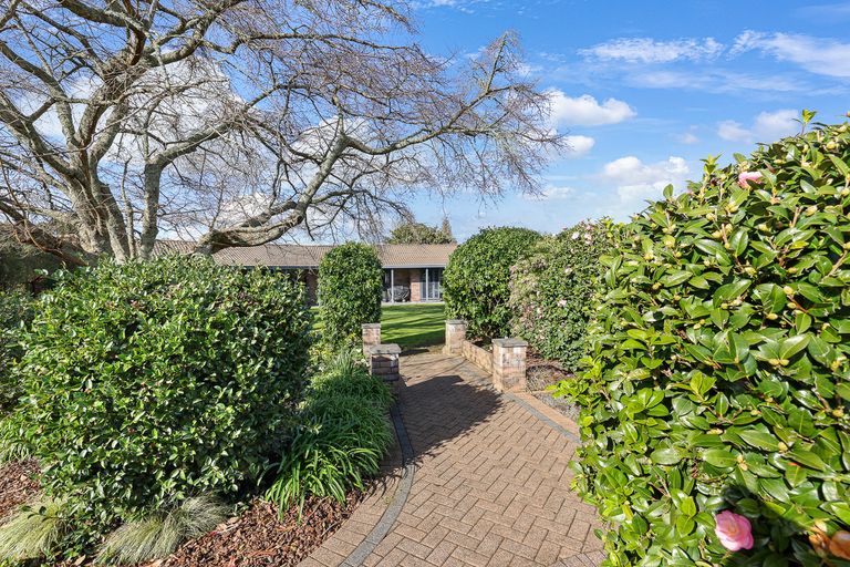 Photo of property in 527 Belcher Street, Pirongia, 3802