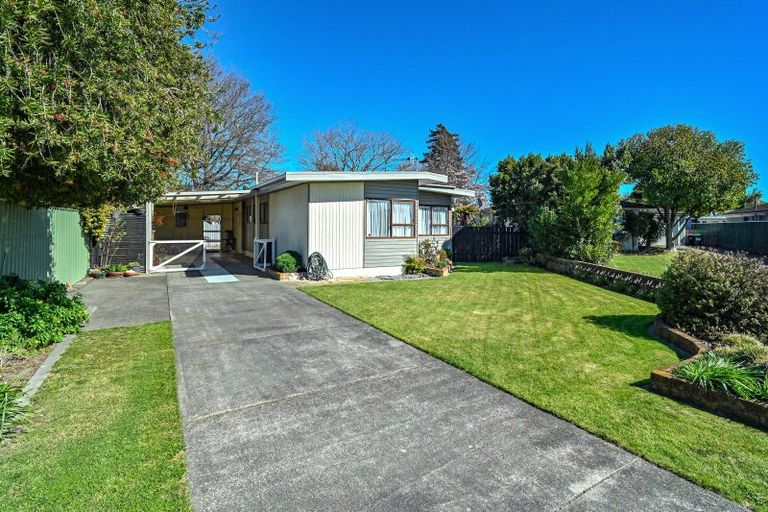 Photo of property in 505 Poplar Place, Akina, Hastings, 4122