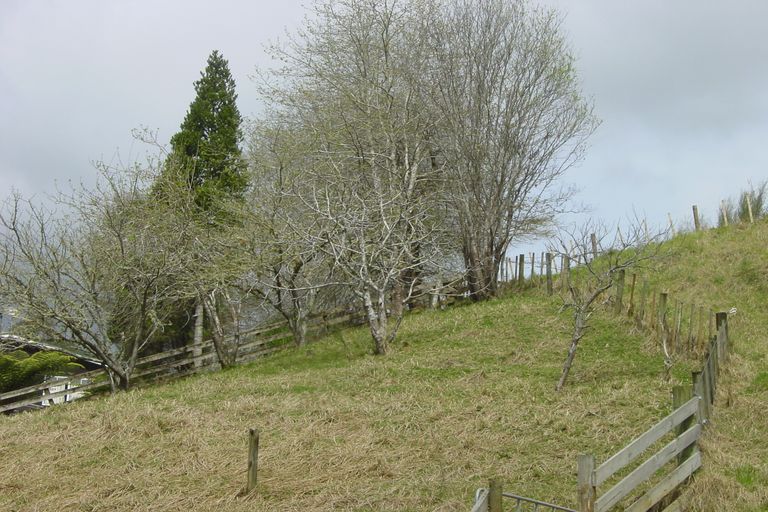 Photo of property in 521 Ahuroa Road, Puhoi, Warkworth, 0994