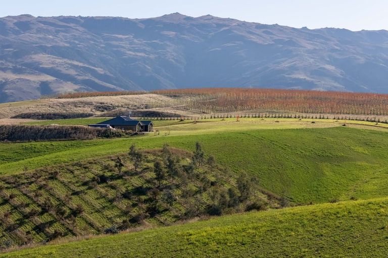 Photo of property in 4 Skeena Way, Waikerikeri, Alexandra, 9391