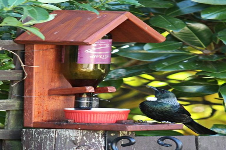 Photo of property in 26b High Street, Glenholme, Rotorua, 3010