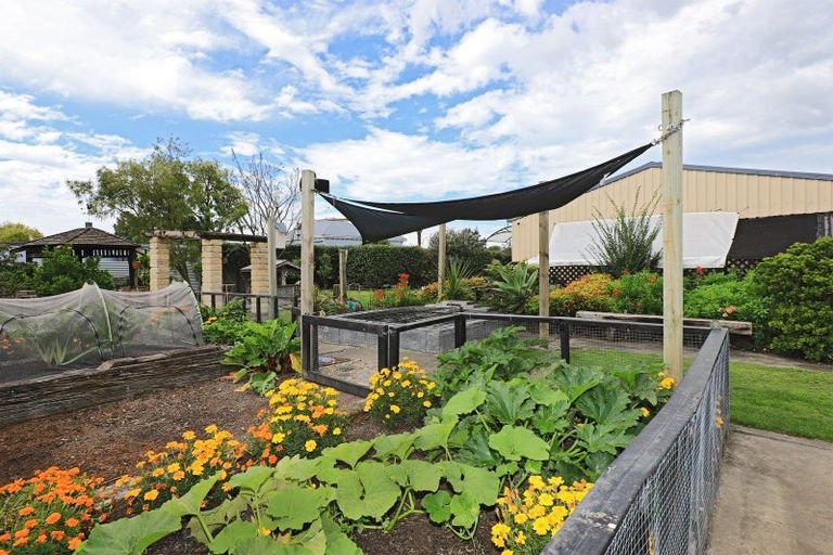 Photo of property in 12a Tomoana Road, Mahora, Hastings, 4120