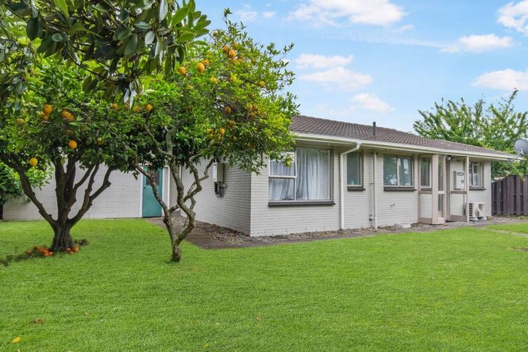 Photo of property in 26a Forsyth Street, St Andrews, Hamilton, 3200