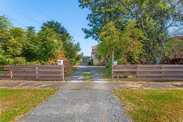 Photo of property in 146 Birrell Street, Elgin, Gisborne, 4010