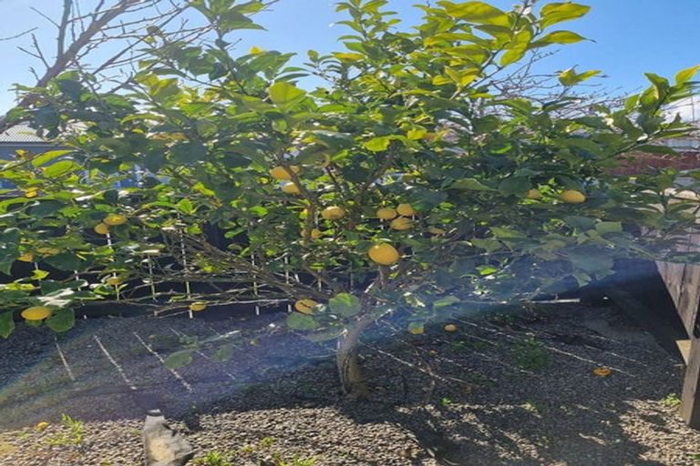 Photo of property in 1/56 Mary Crescent, Elderslea, Upper Hutt, 5018