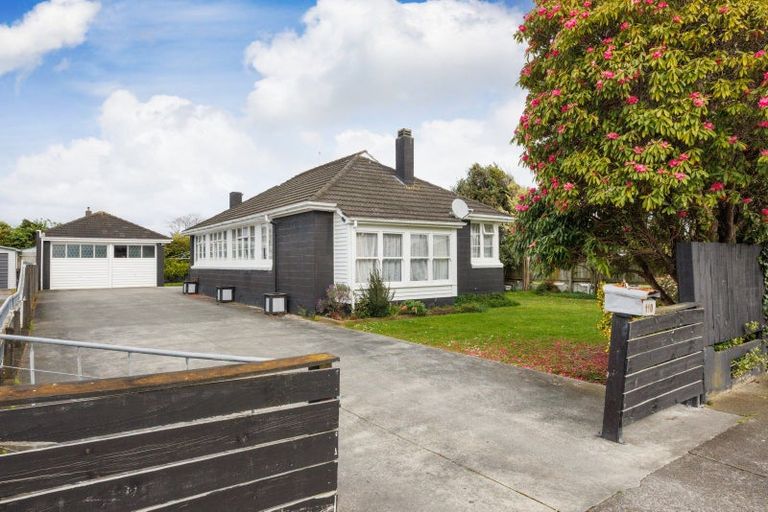 Photo of property in 110 Limbrick Street, Terrace End, Palmerston North, 4410