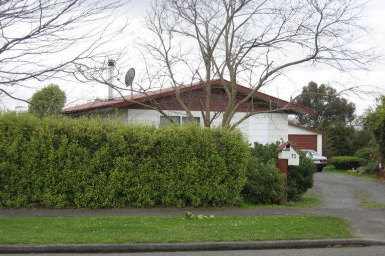 Photo of property in 75 South Belt, Solway, Masterton, 5810