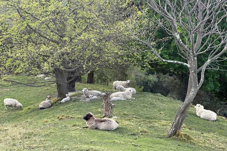 Photo of property in 11 Kaimata Road, Bay View, Napier, 4182