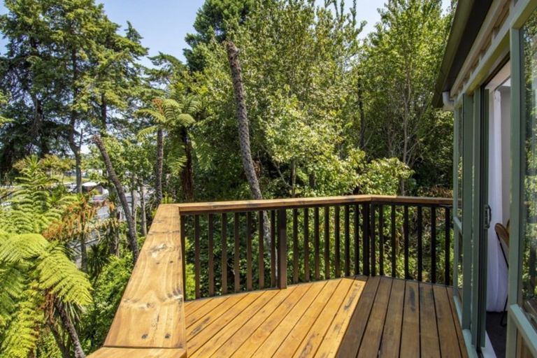 Photo of property in 45 Collingwood Street, Judea, Tauranga, 3110