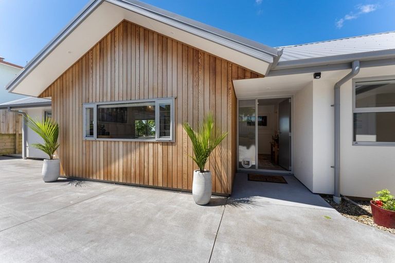 Photo of property in 55b Paynters Avenue, Strandon, New Plymouth, 4312