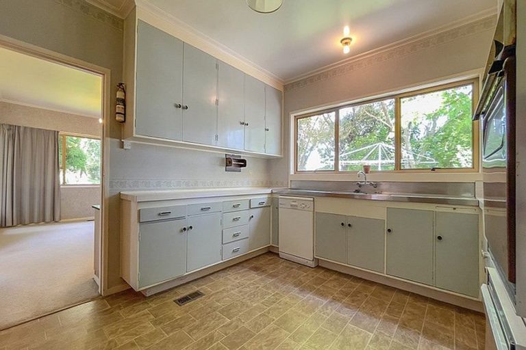Photo of property in 20 Prospect Street, Putaruru, 3411