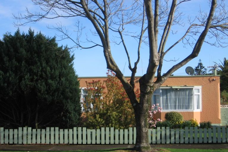 Photo of property in 20a Mckenzie Street, Levin, 5510