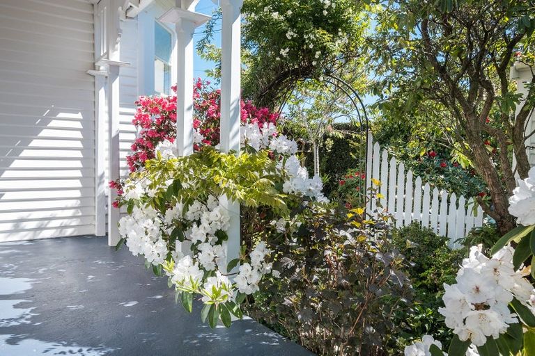 Photo of property in 67 Rosebery Street, Belleknowes, Dunedin, 9011