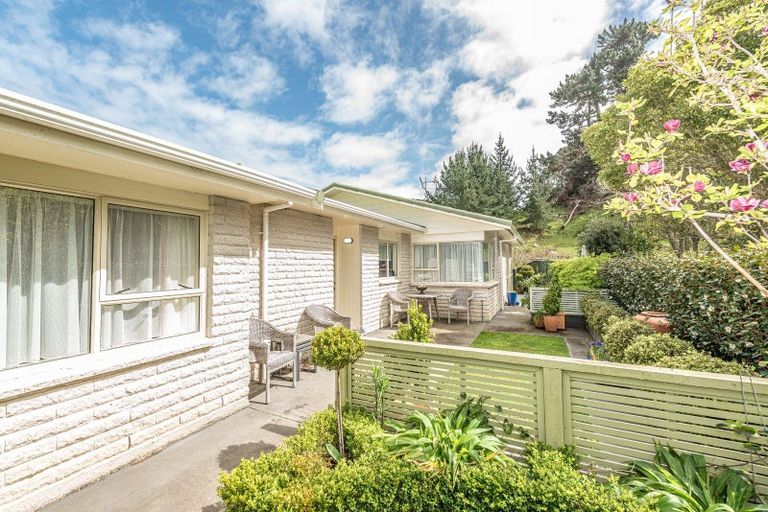 Photo of property in 41 Downes Avenue, Springvale, Whanganui, 4501