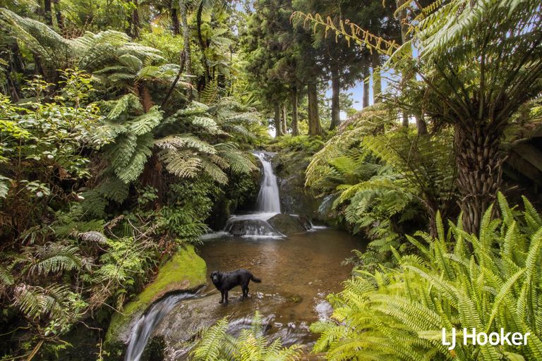 Photo of property in 115 Ngatitangata Road, Waihi, 3681