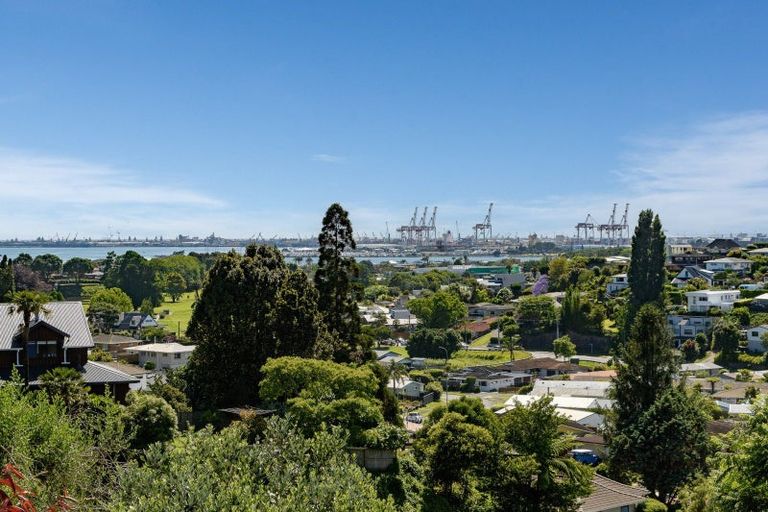 Photo of property in 44b Whitaker Street, Otumoetai, Tauranga, 3110