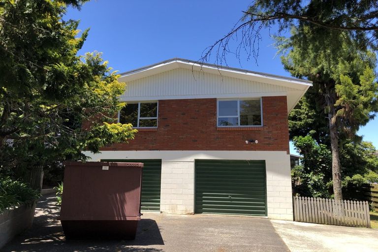 Photo of property in 22 Holdaway Avenue, Northcote, Auckland, 0627