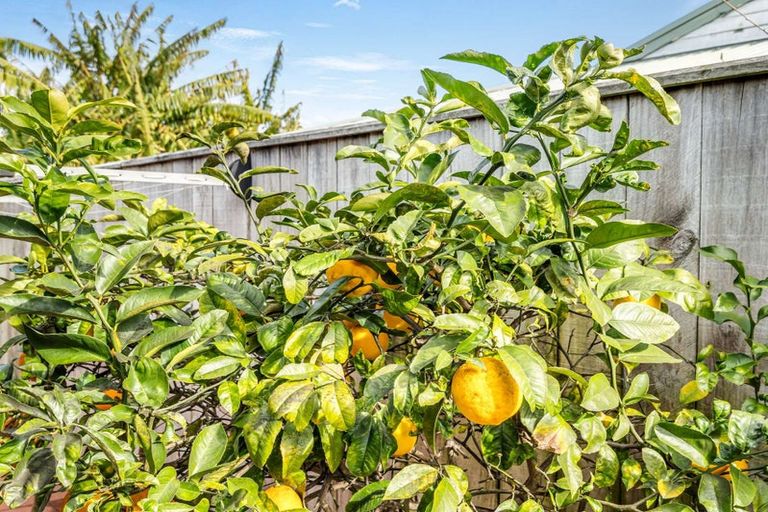 Photo of property in 33a Bridge Street, Whakatane, 3120