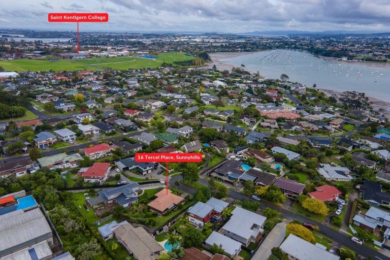 Photo of property in 16 Tercel Place, Sunnyhills, Auckland, 2010