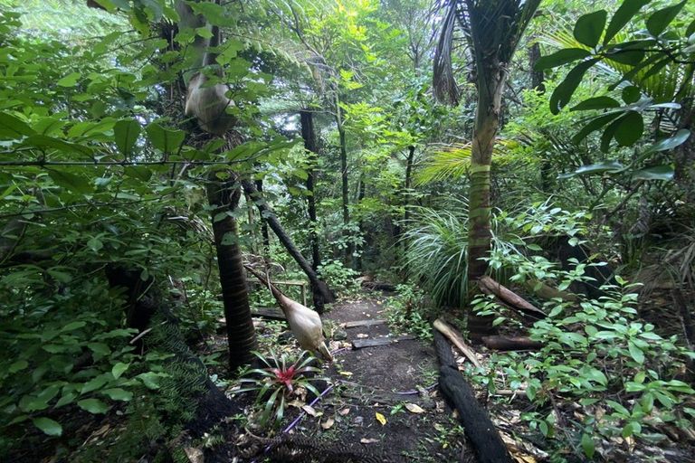 Photo of property in 530 Thames Coast Sh25 Road, Te Puru, Thames, 3575