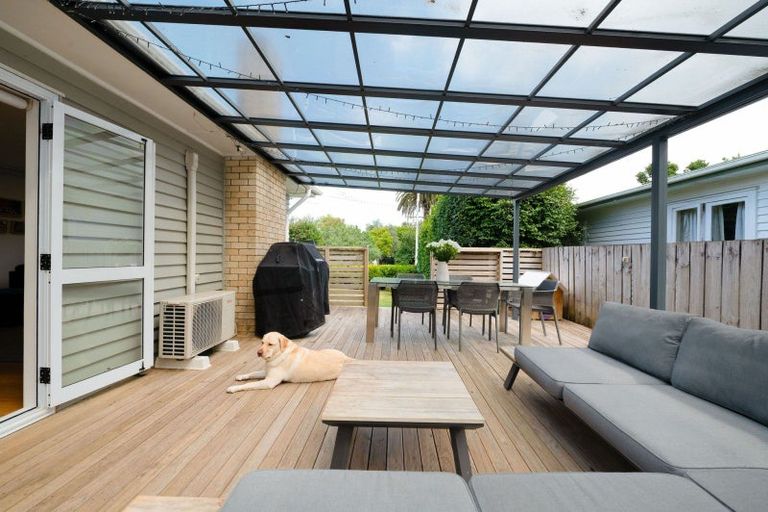 Photo of property in 38 Urlich Avenue, Melville, Hamilton, 3206