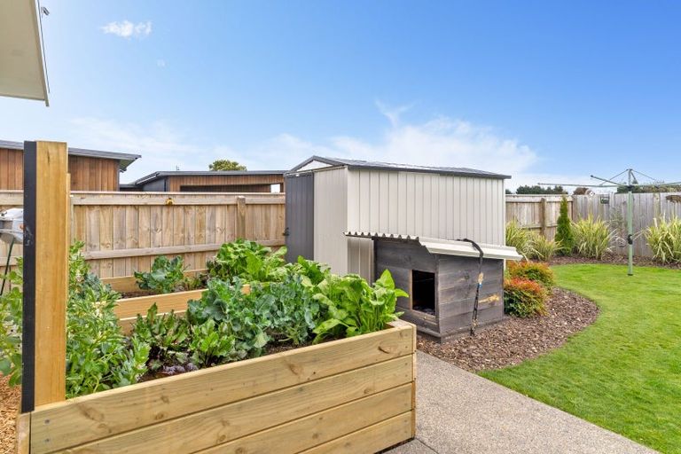 Photo of property in 8 Tuatahi Avenue, Solway, Masterton, 5810