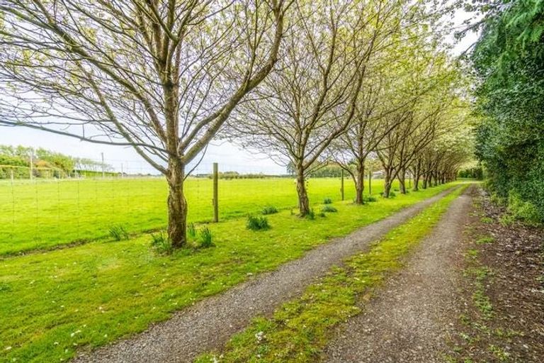 Photo of property in 644 Ryal Bush Wallacetown Road, Wallacetown, Invercargill, 9874