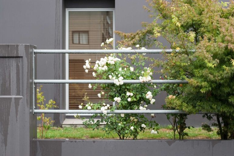 Photo of property in 253 Hereford Street, Christchurch Central, Christchurch, 8011