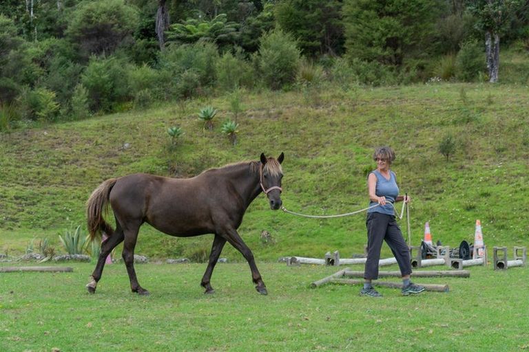 Photo of property in 896a Hikuai Settlement Road, Pauanui, Hikuai, 3579