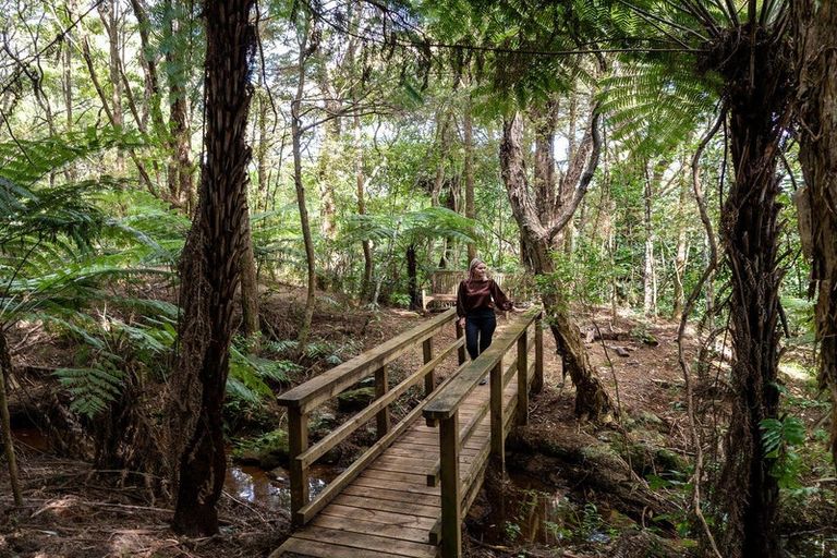 Photo of property in 43b Edkins Road, Kerikeri, 0230