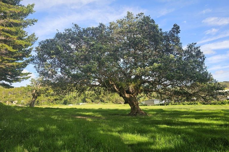Photo of property in 121 Ohawini Road, Oakura, Hikurangi, 0184