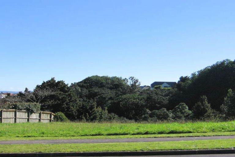 Photo of property in 13 Silkwood Grove, Totara Heights, Auckland, 2105