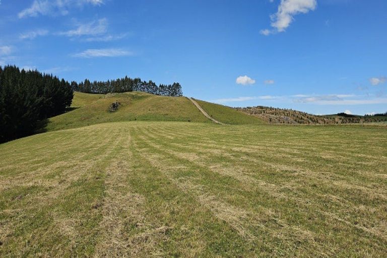 Photo of property in Porters Access Road, Kaeo, 0478