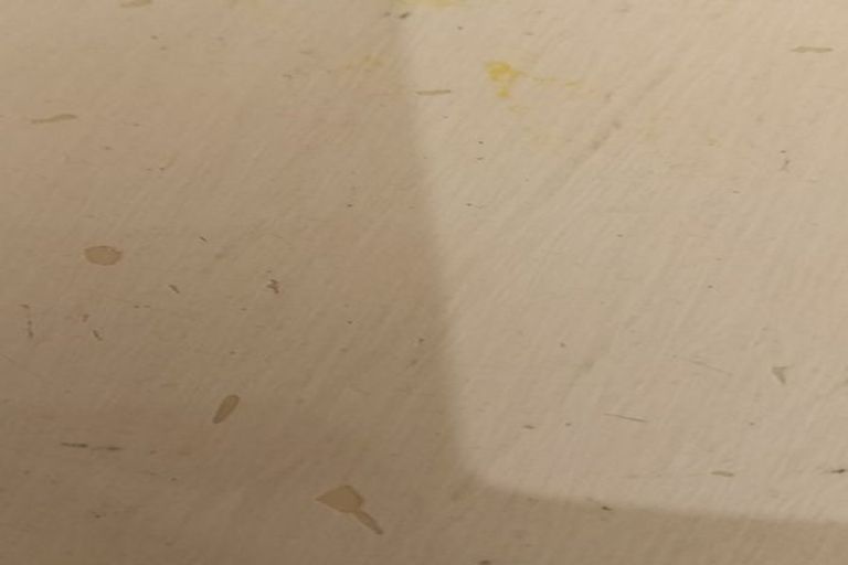 Photo of property in 66 South Street, Blenheim, 7201