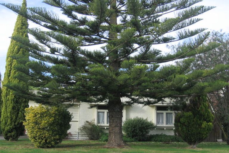 Photo of property in 1027 Konini Street, Mahora, Hastings, 4120