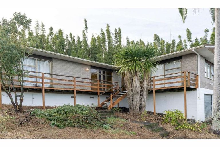 Photo of property in 44b Kendall Road, Kerikeri, 0230