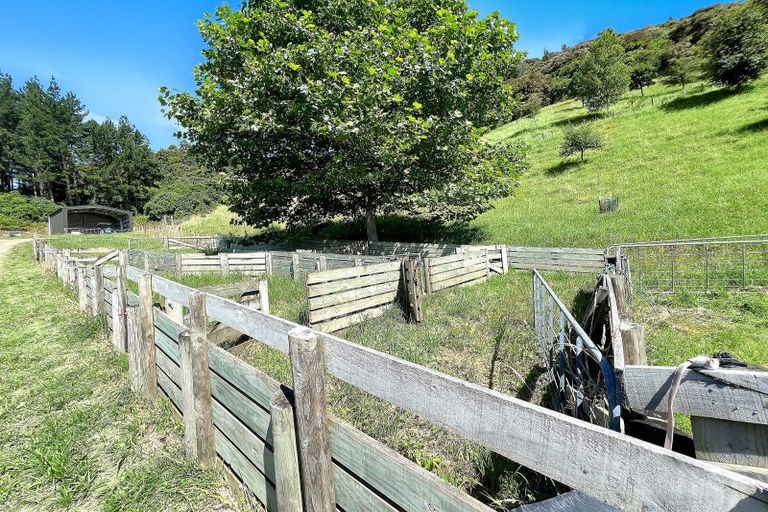 Photo of property in 575a Whirinaki Road, Galatea, Murupara, 3079